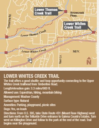 Lower-Whites-Creek-Trail.jpg